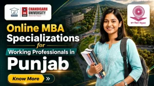 Top Online MBA Specializations for Working Professionals in Punjab